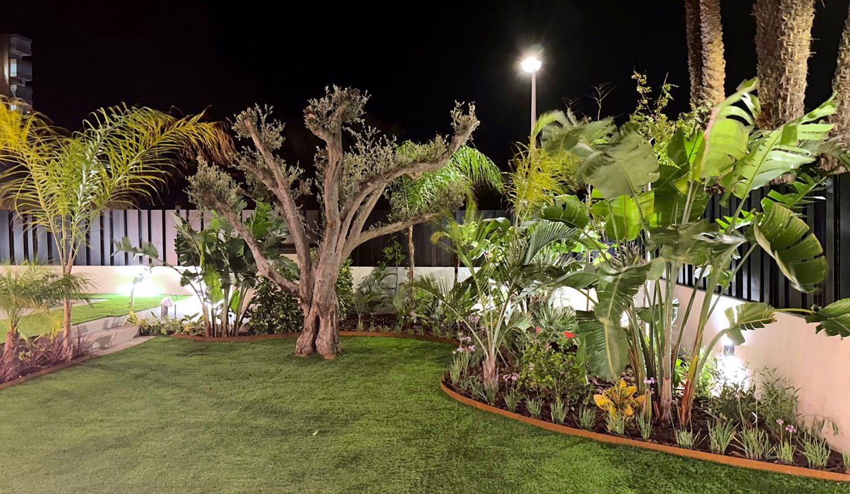 jardin_night2_optimized_web